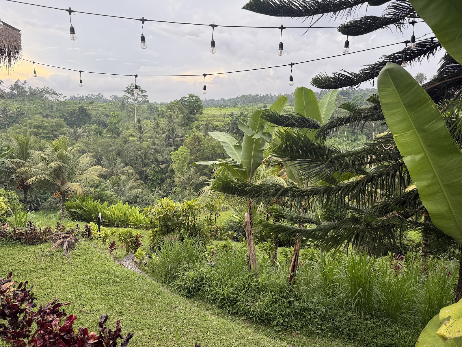 Camaya Terrace Restaurant