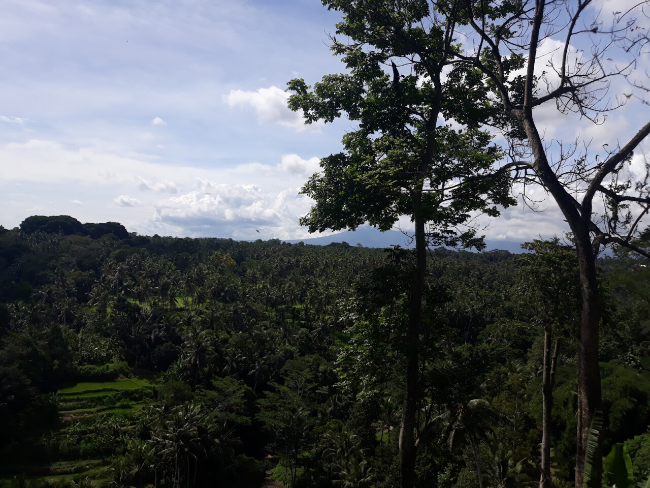Sayan Point