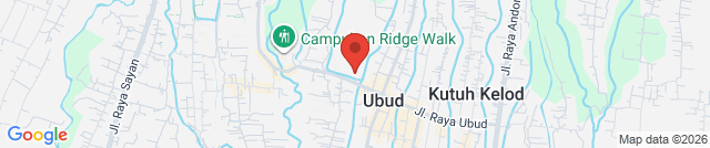 Художественный музей Puri Lukisan Museum