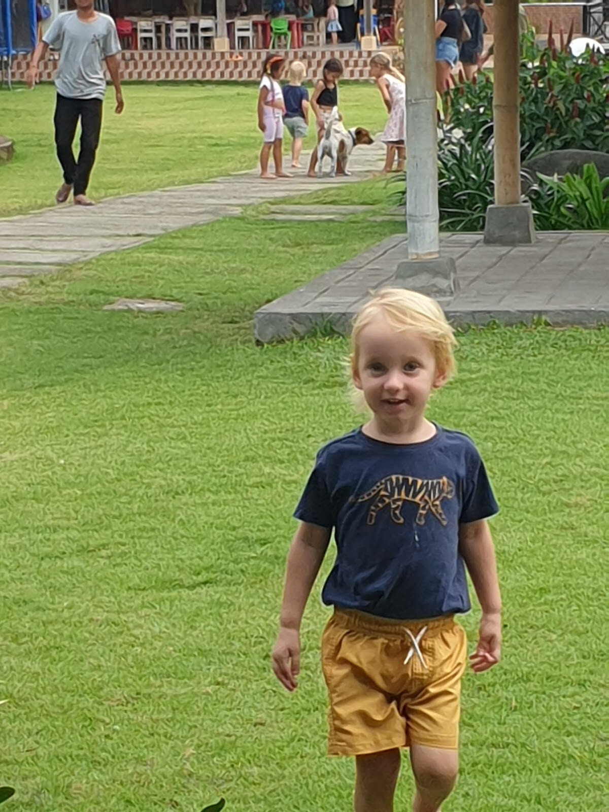 Little Tree Kids Club & Tutors
