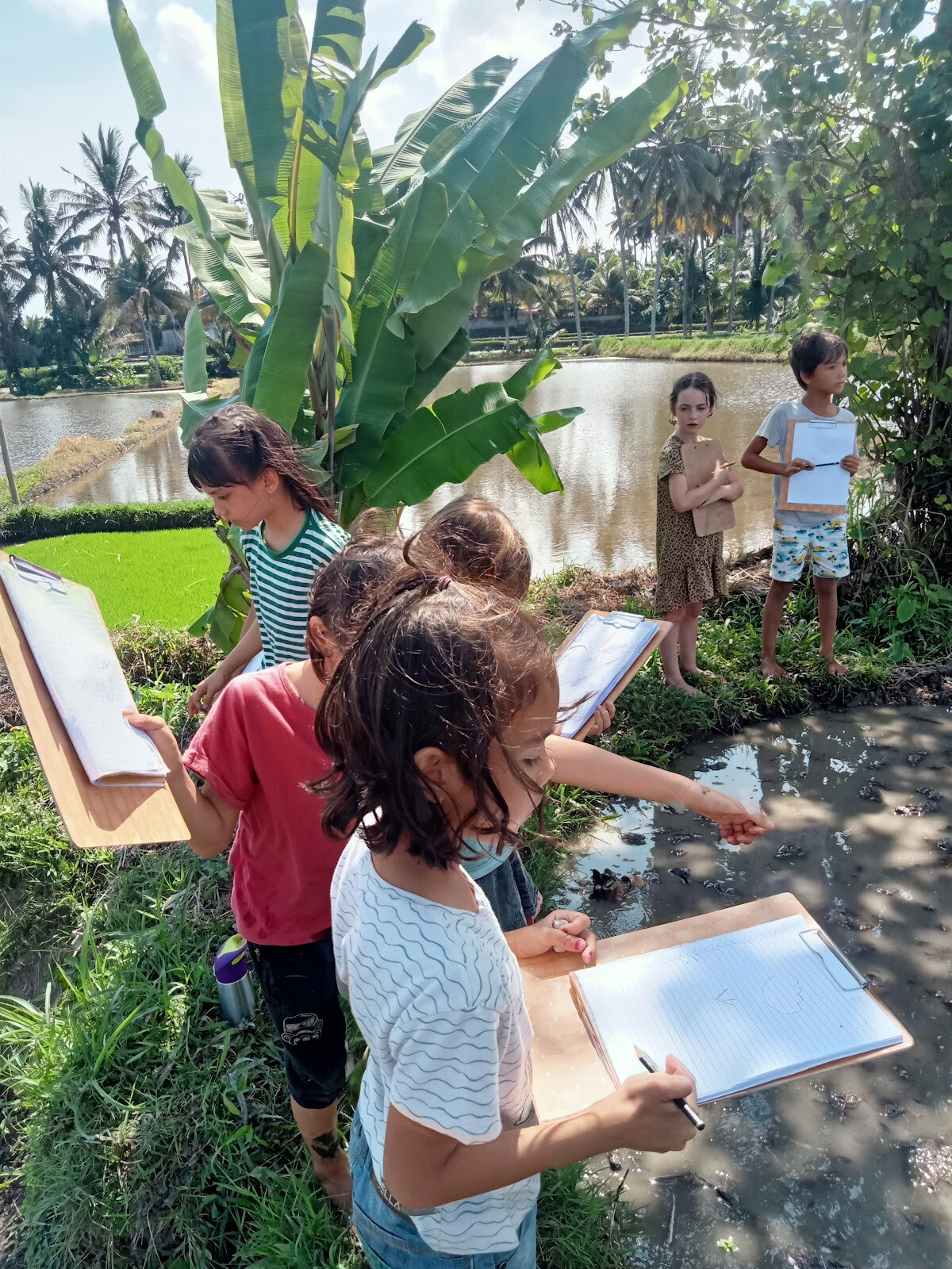 Wood School Bali