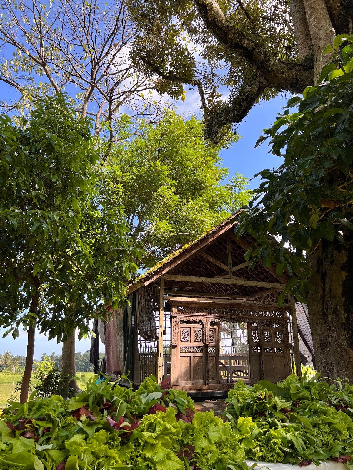 Wood School Bali