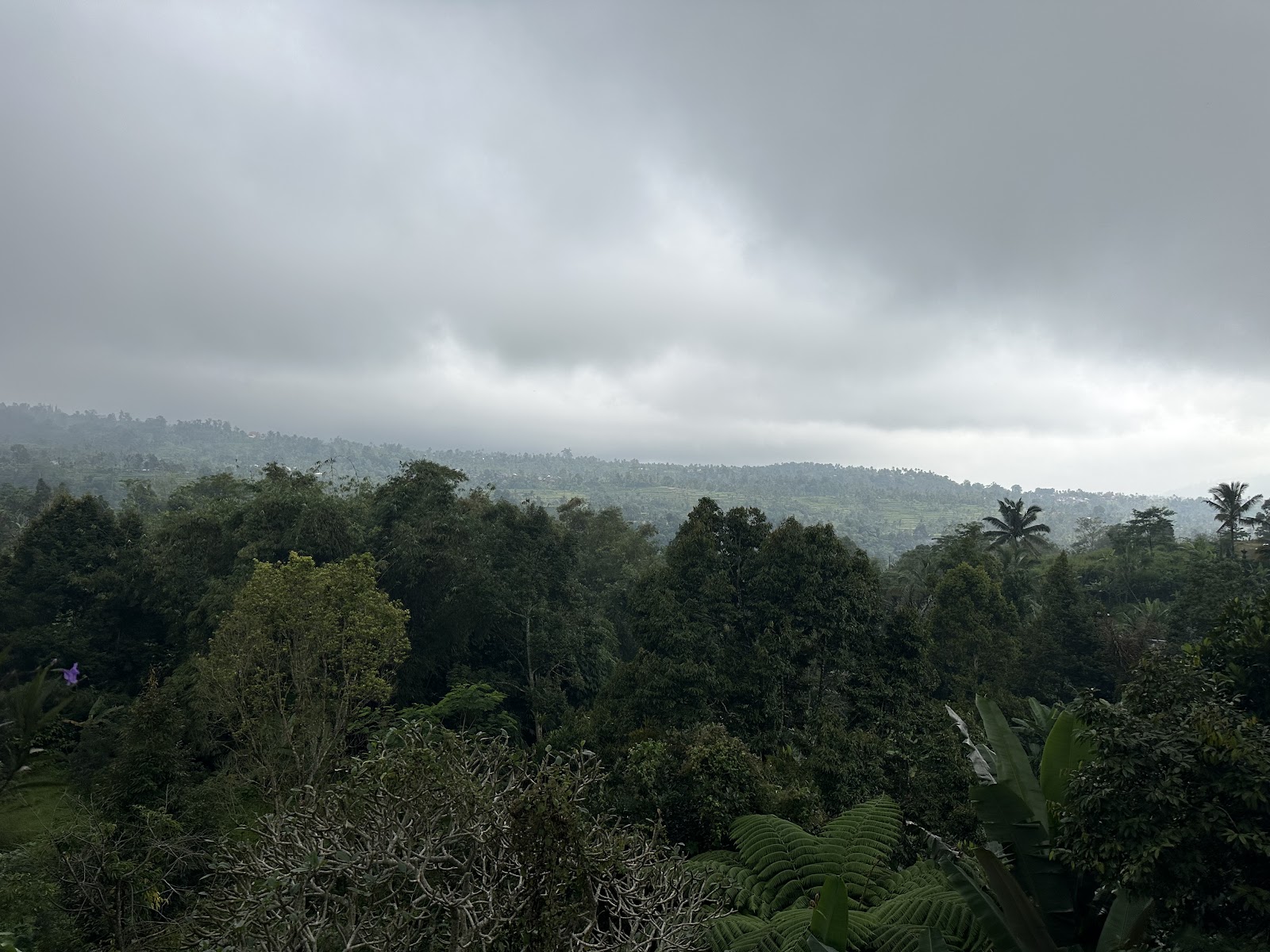 Warung Taman Gemitir