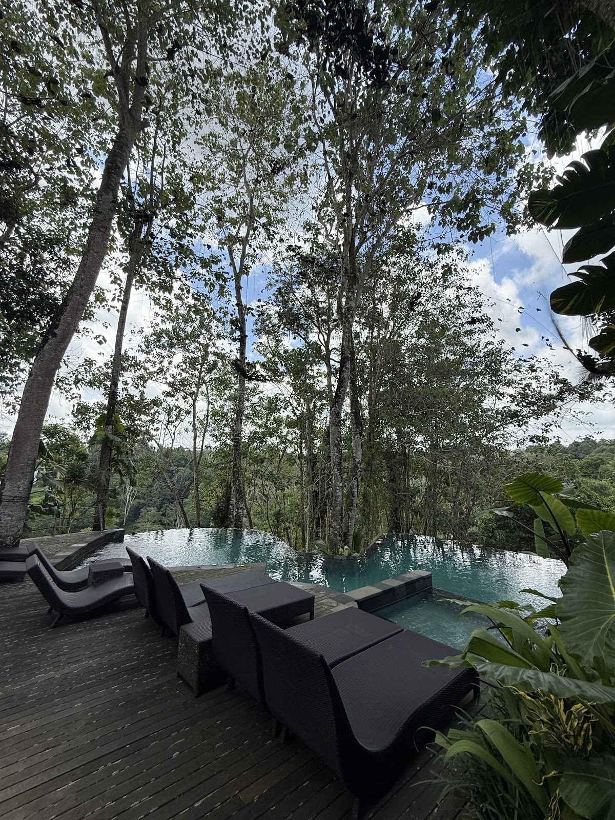 D Alas Warung Restaurant