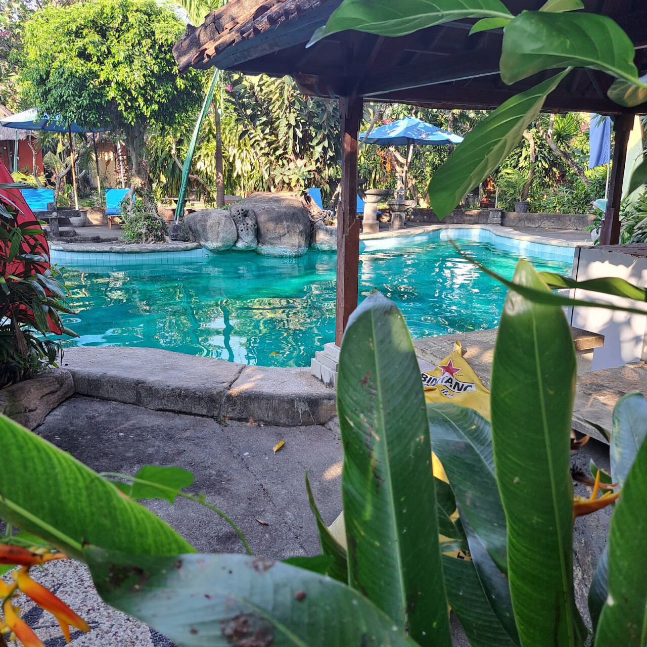 Hidden Garden Bar.