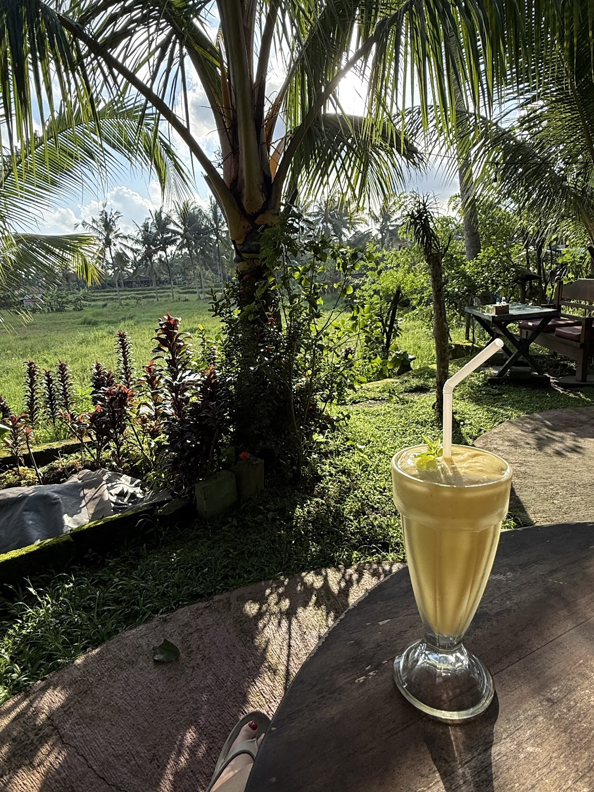 Aldi's Coffee & Eatery