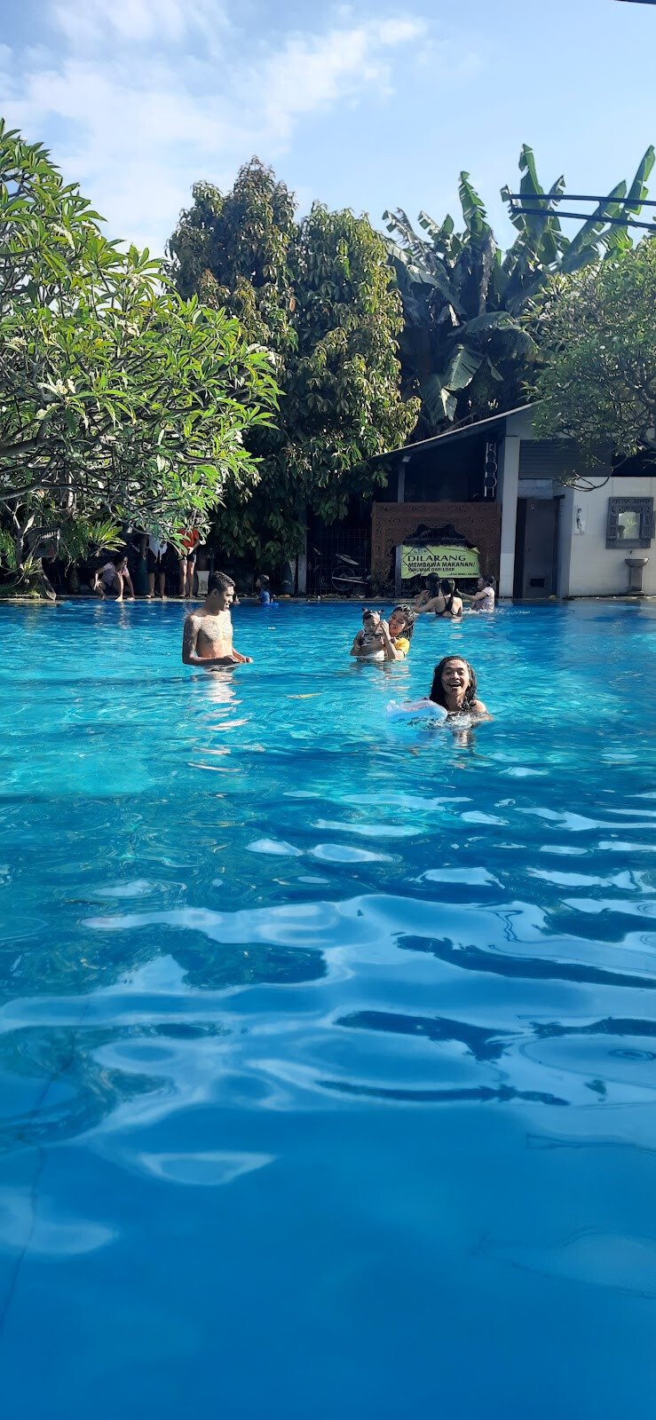 Swimming Pool Aria 2
