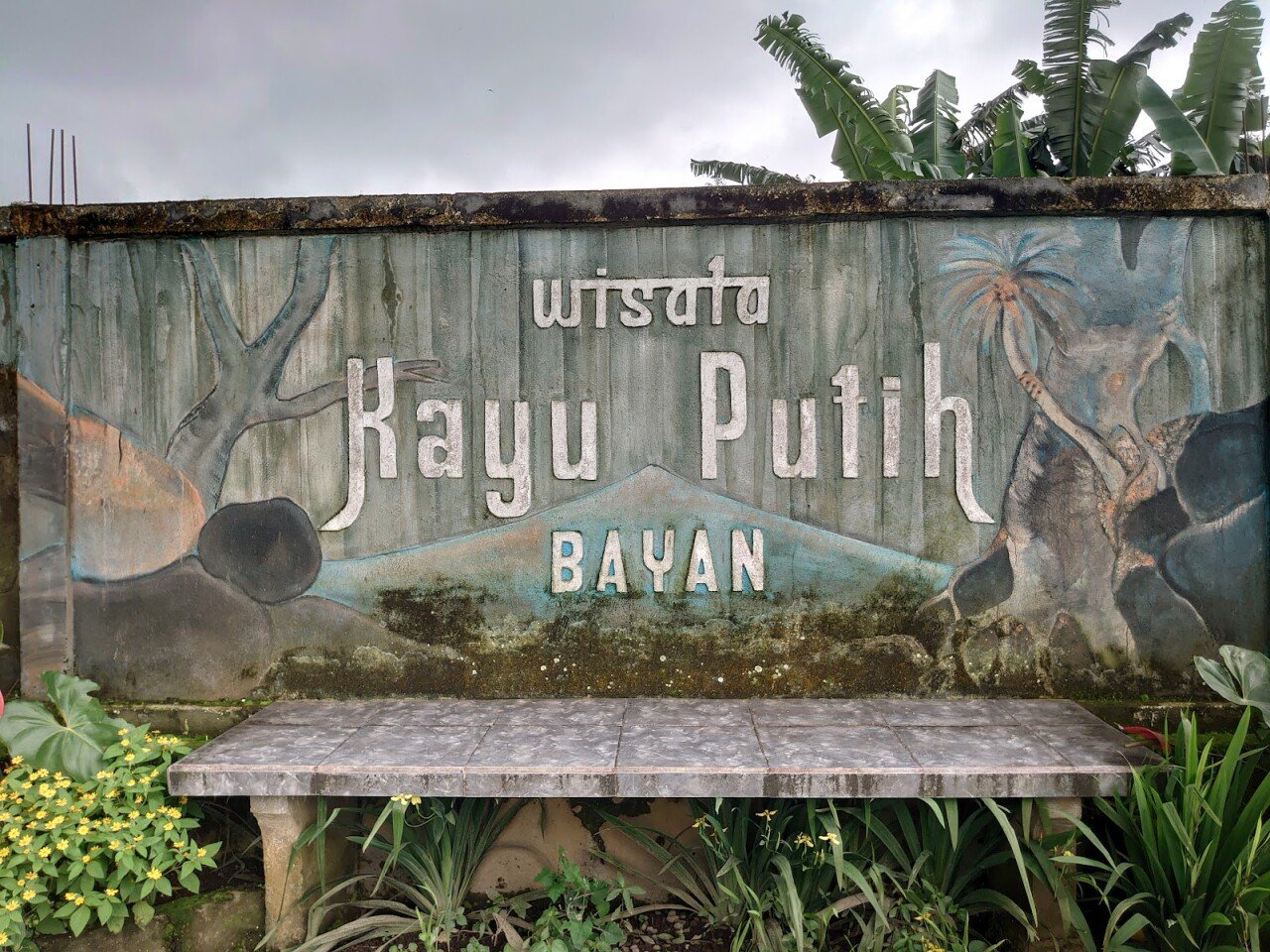 Bayan Ancient Tree
