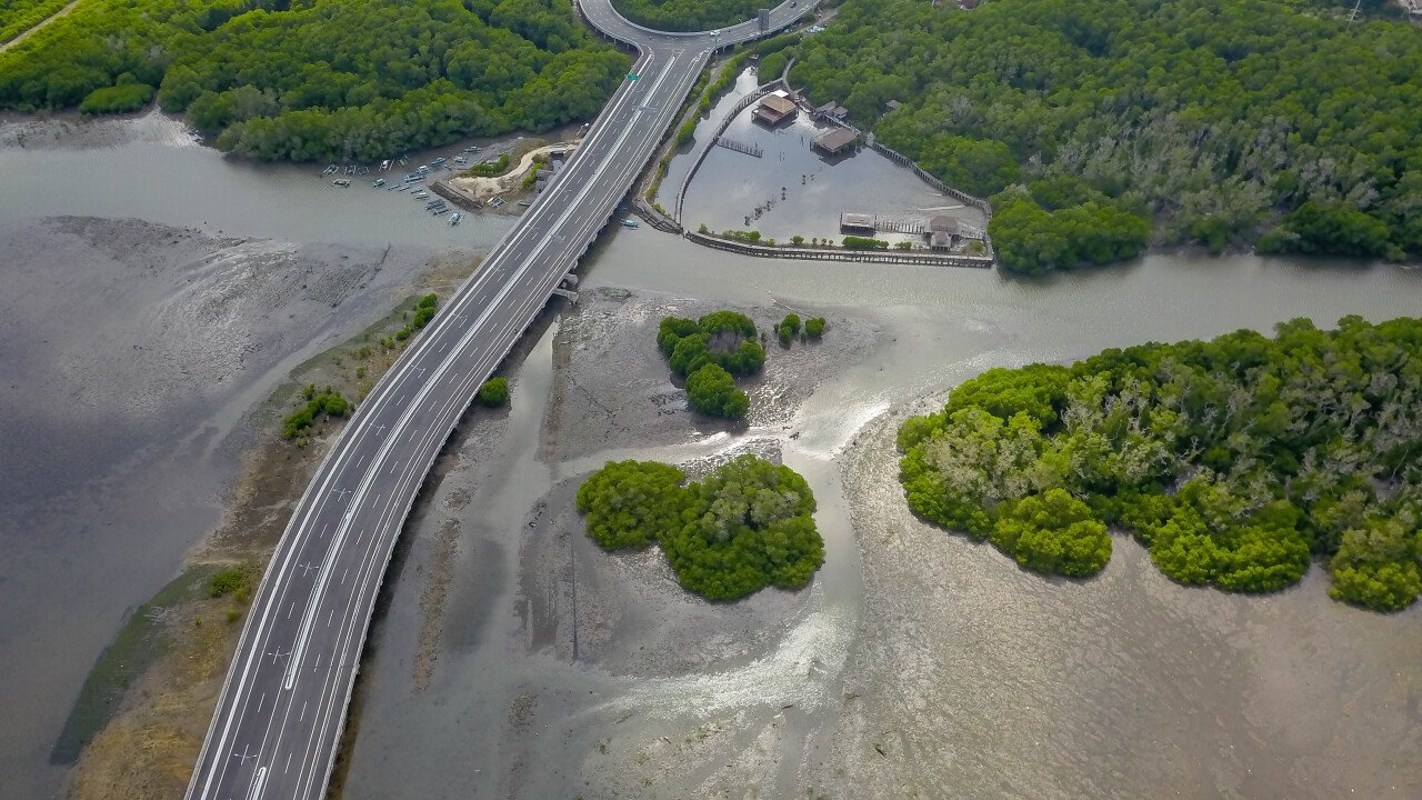 В Беноа проверяют трубы после гибели сотен мангров