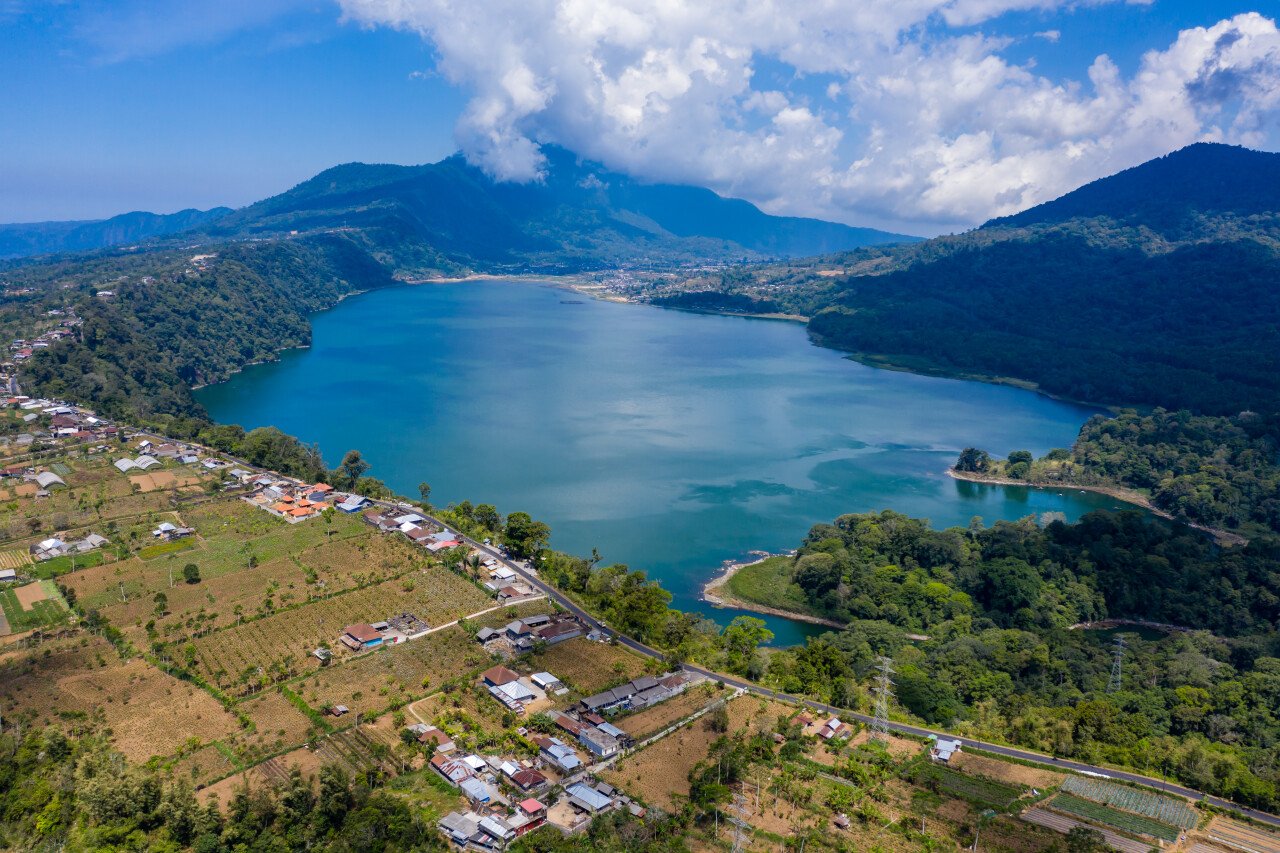 Видео за 20 миллионов рупий: как не попасть на деньги в лесах Бали