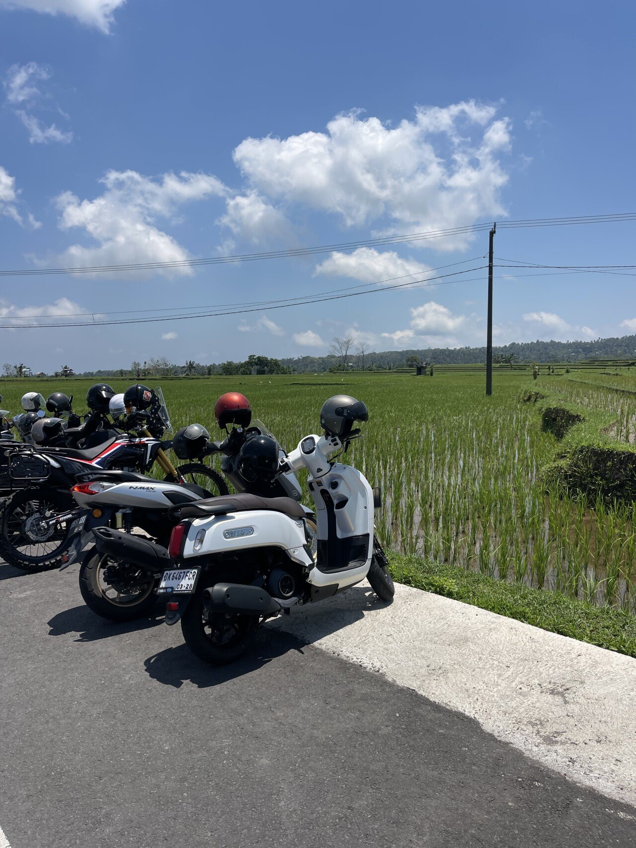Дикий Запад, север Бали и восток: 5 дней свободы на байках