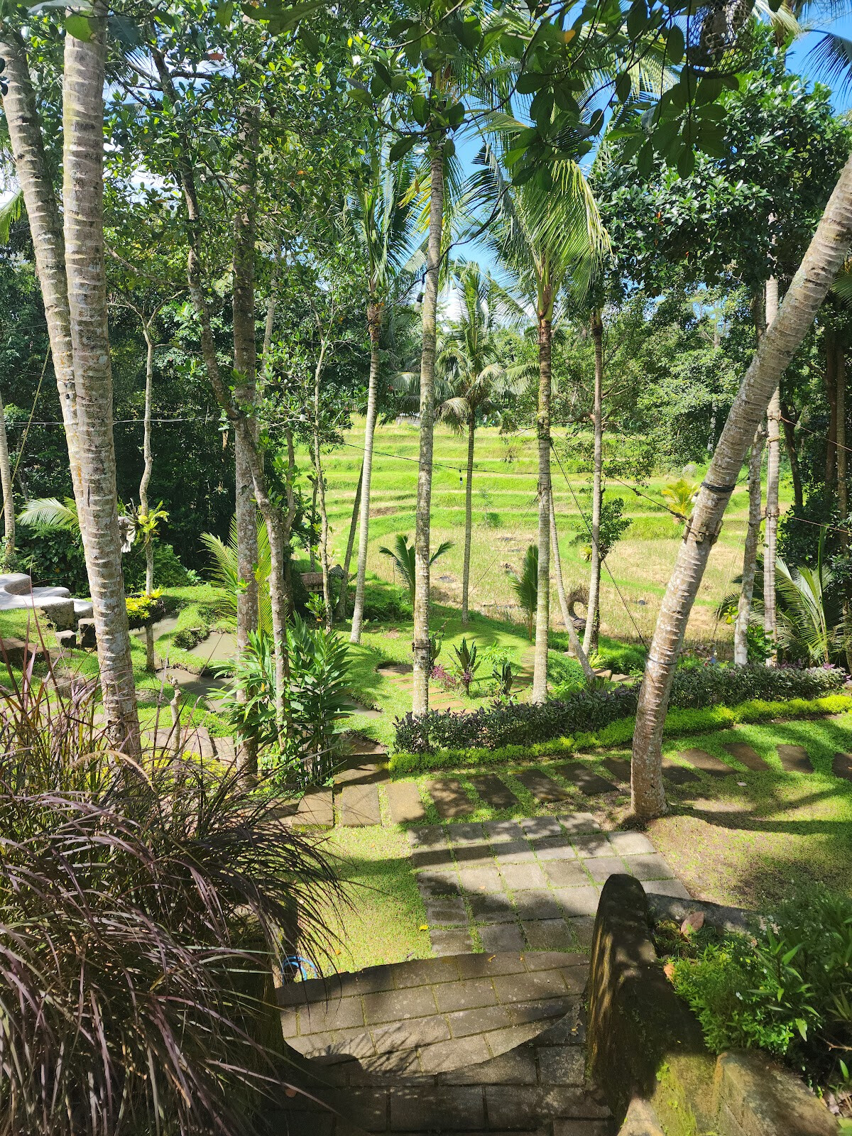 NEUN at Bali Nguni Ubud