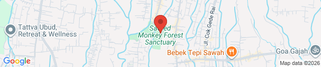 Парк Monkey Forest
