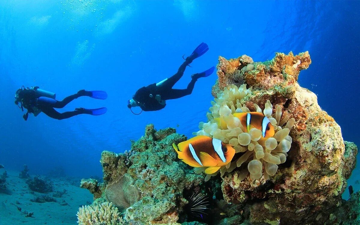 Восток Бали за два дня: путешествие в Амед