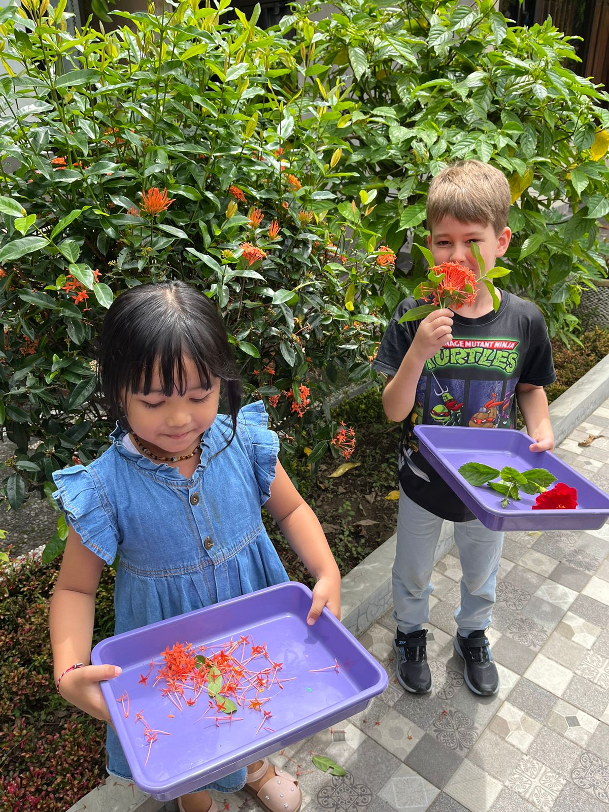 Dragons Kindergarten Ubud