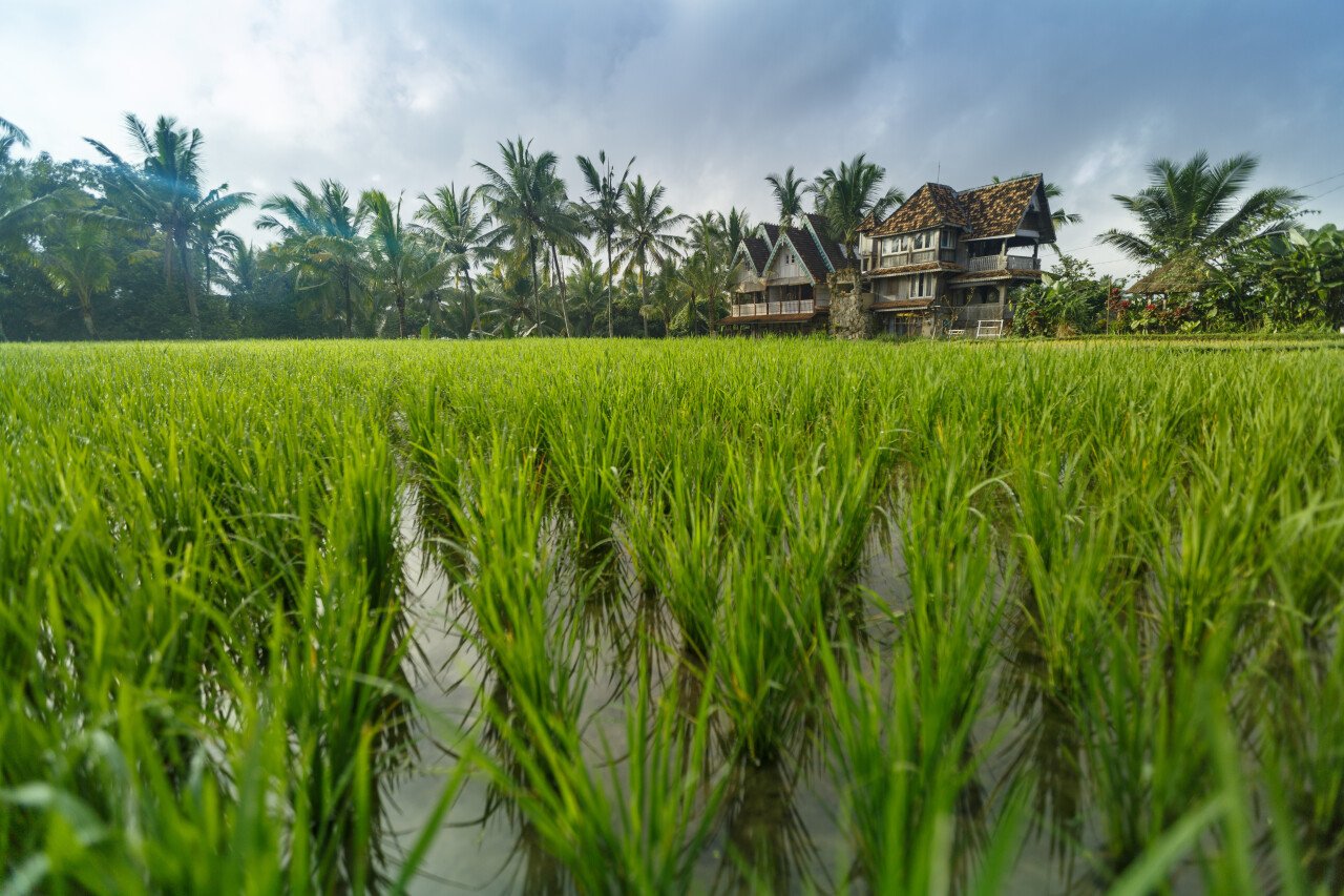 Бали - лучшее место, чтобы спрятаться от Третьей мировой