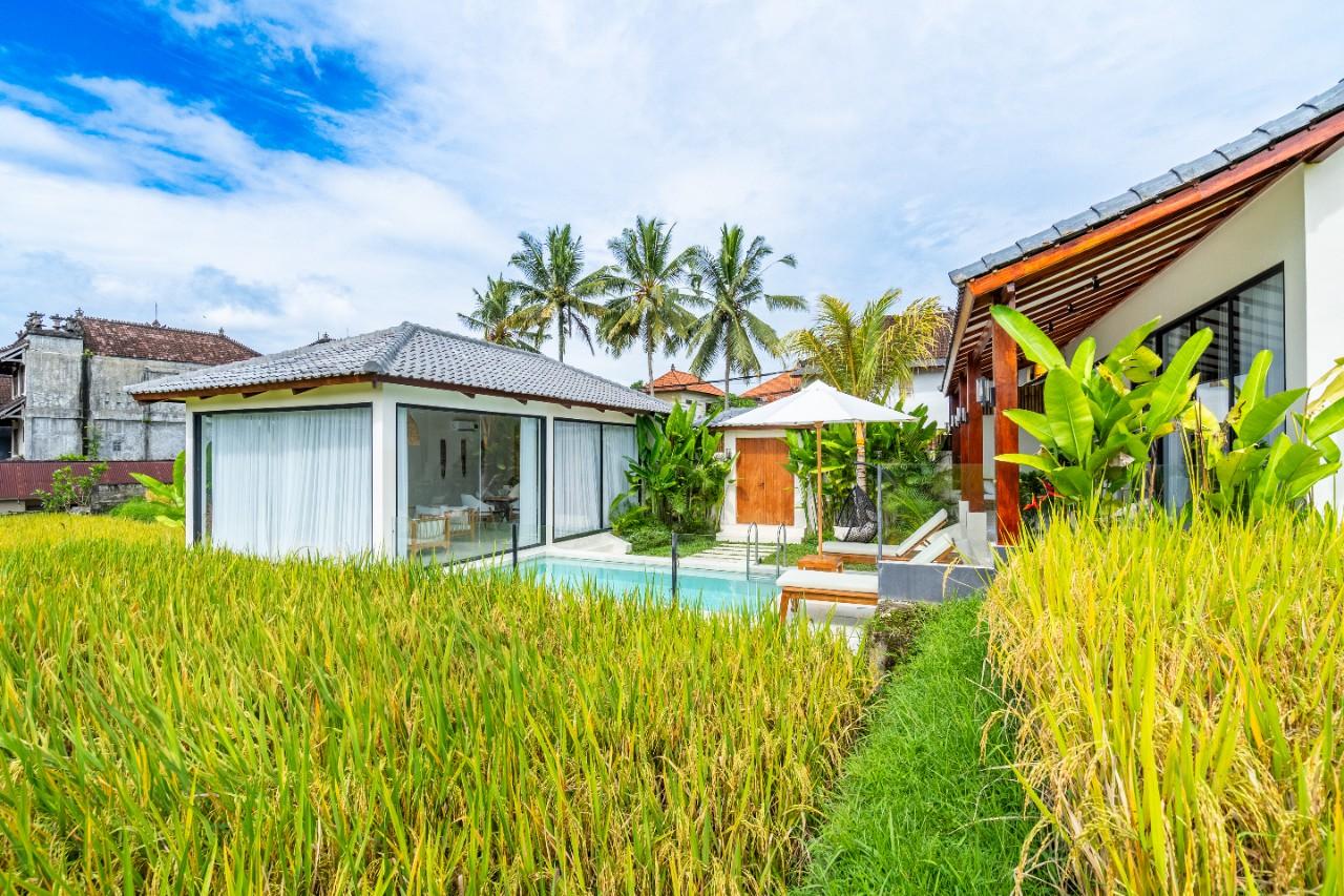 Вилла среди рисовых полей Тегалаланг 101м² 2 спальни