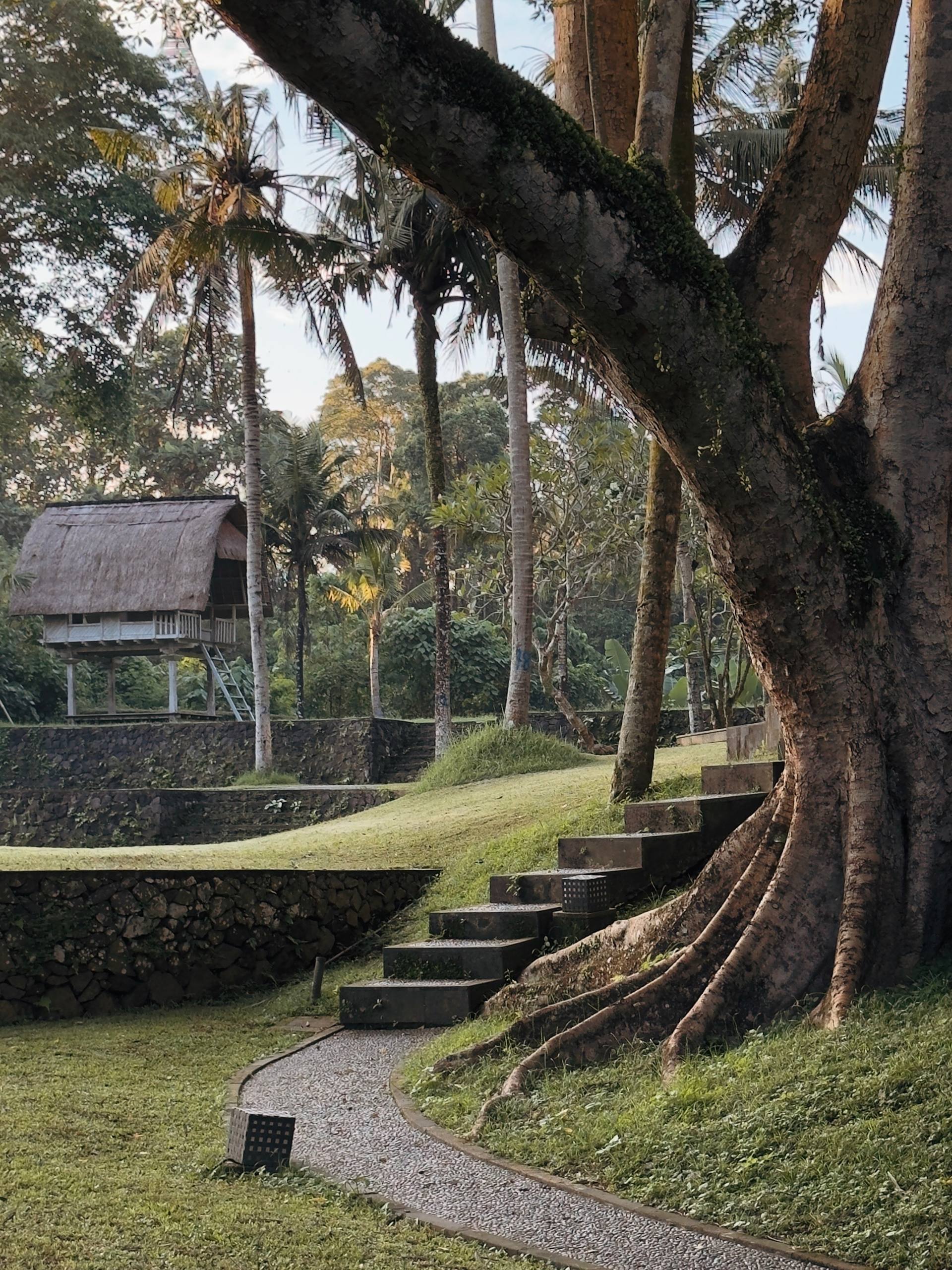 Вилла уютная Чангу