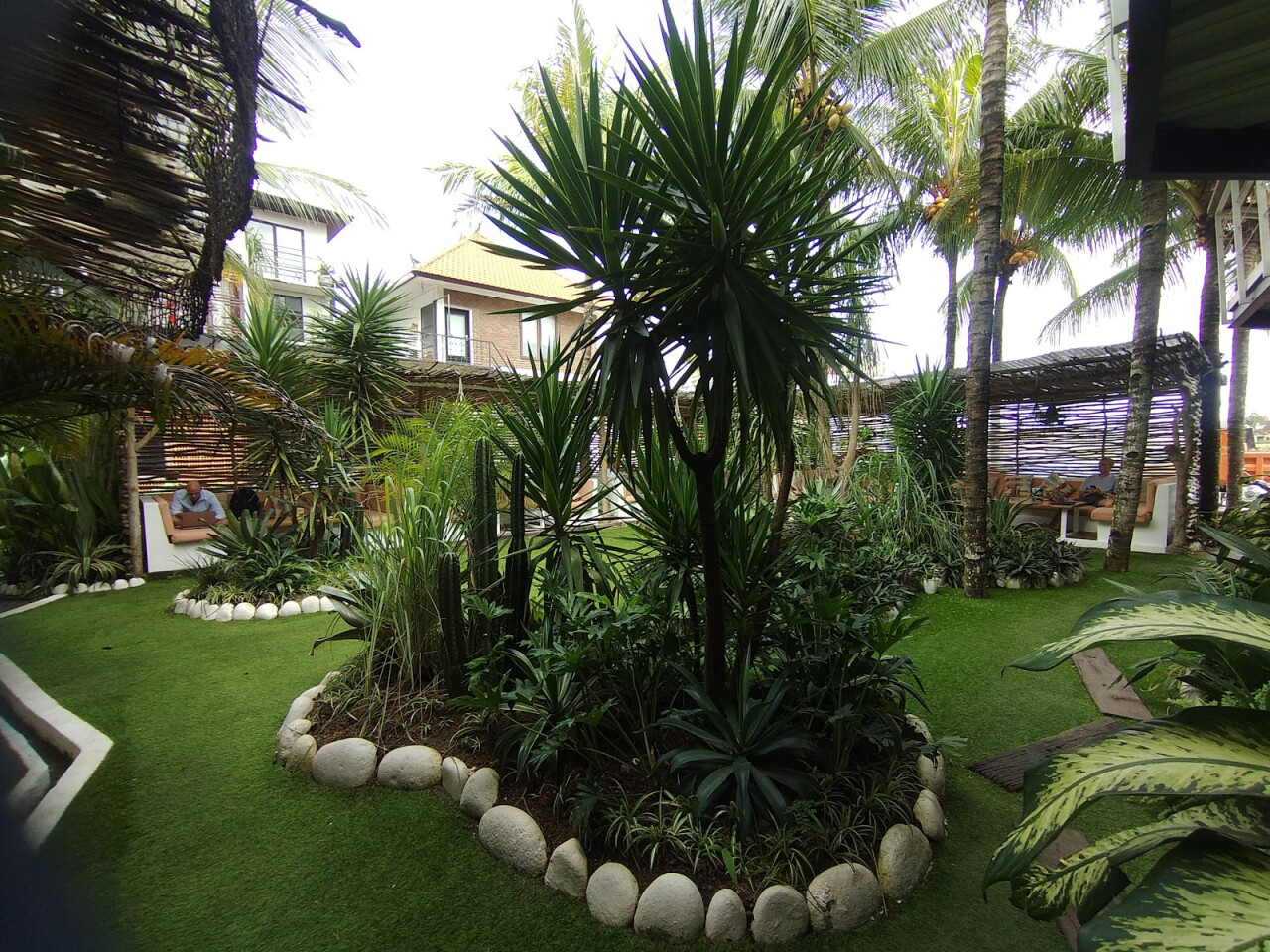 Tropical Nomad Coworking Space