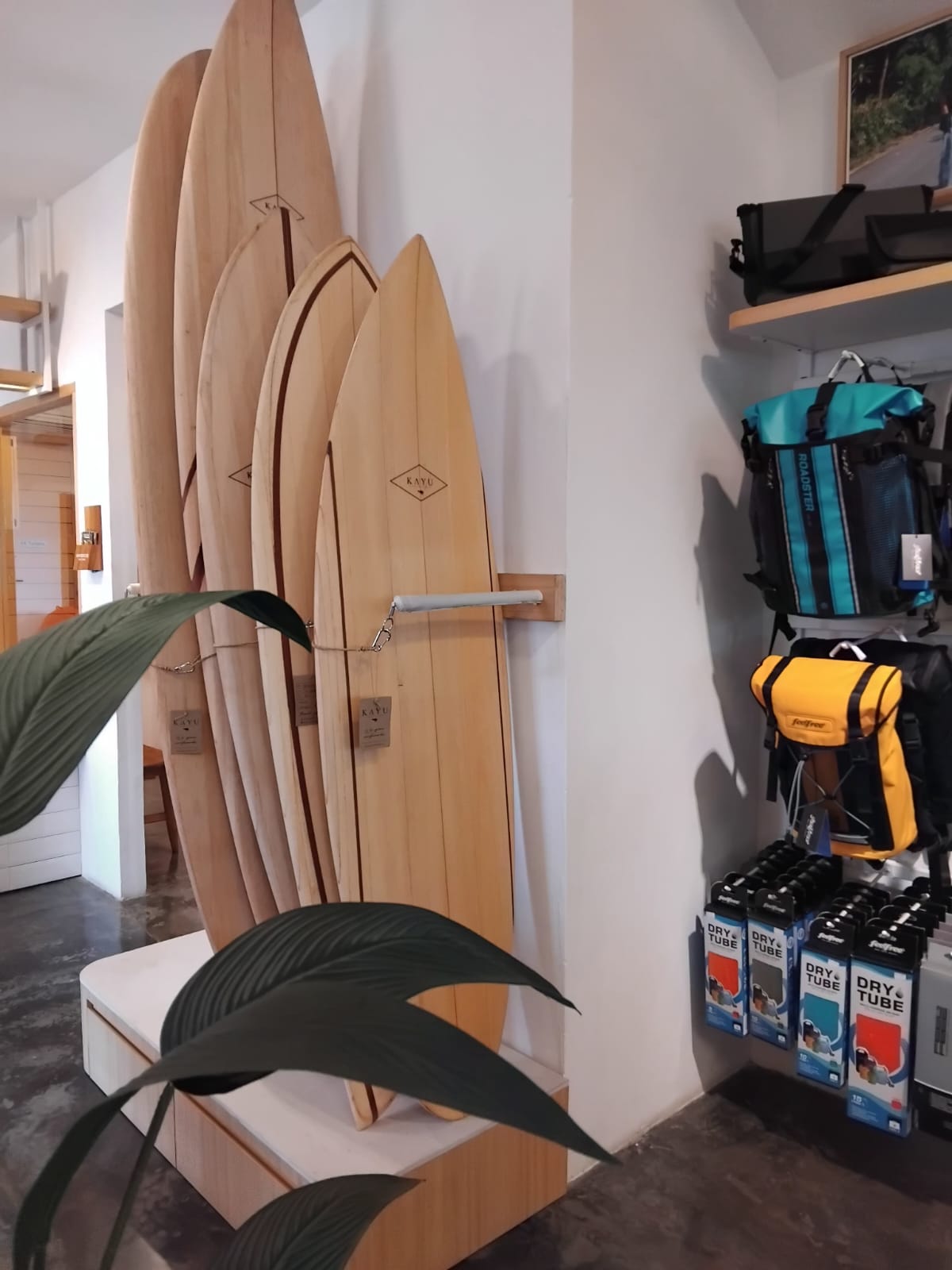 Mavericks Surf and Lounge