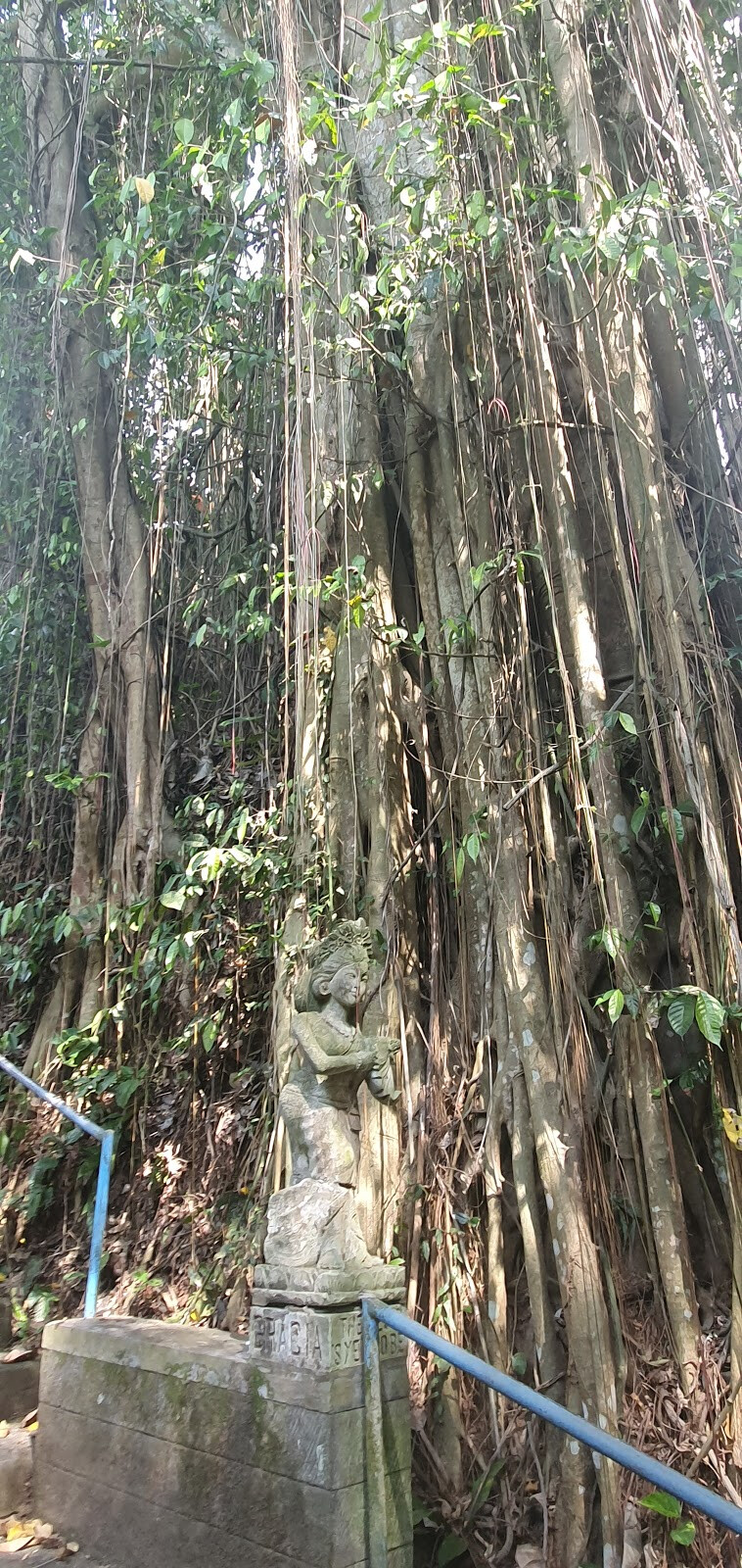 Penestanan​ stairs