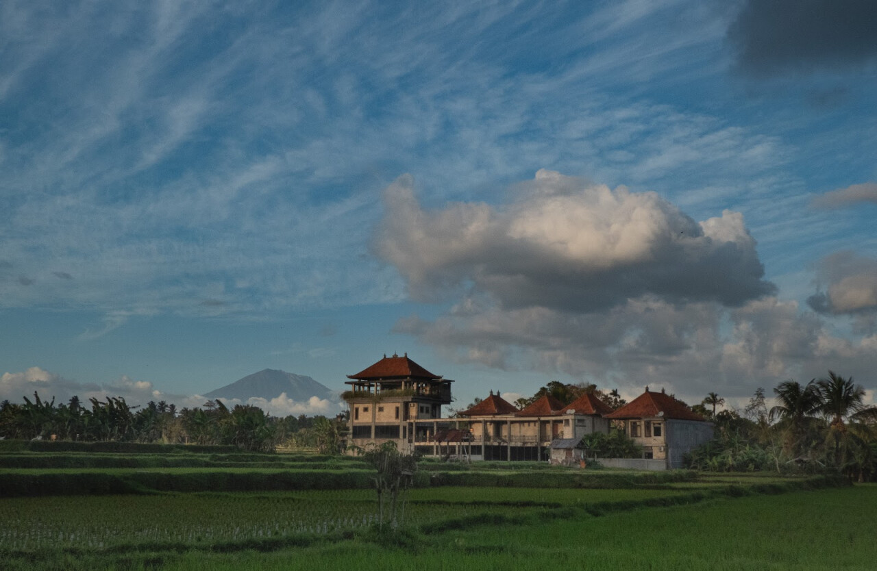 Subak Juwuk Manis Rice fields walk