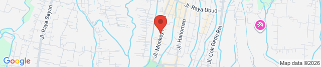 Starbucks Monkey Forest