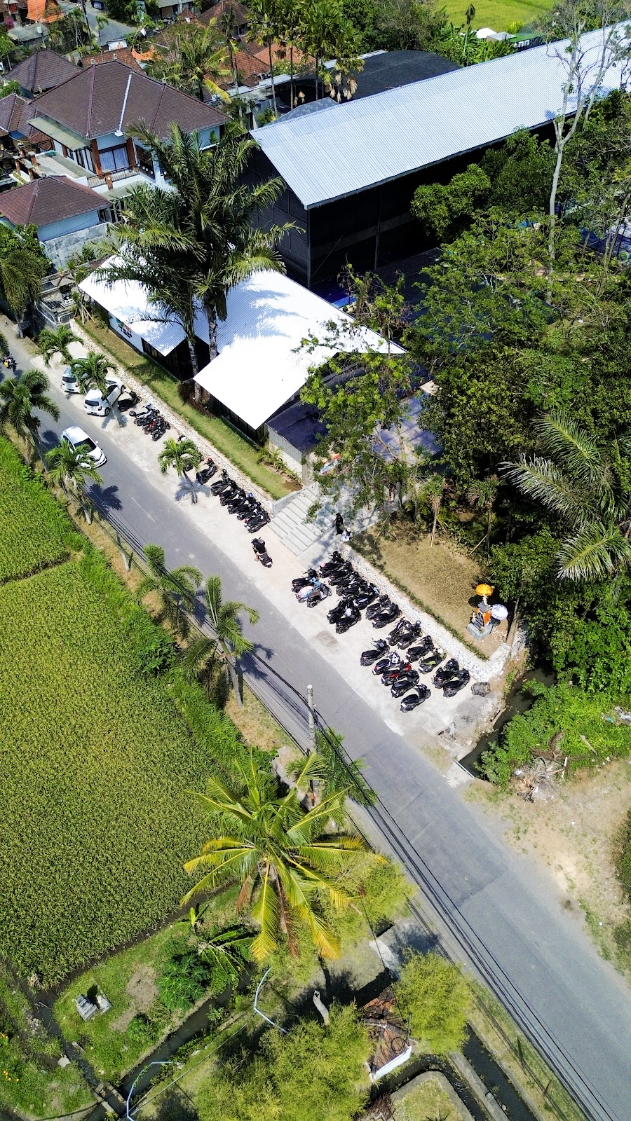 Island Sports Cemagi