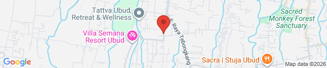 Monkey Padel Bali Ubud