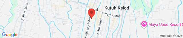 horizontal bar and parallel bars