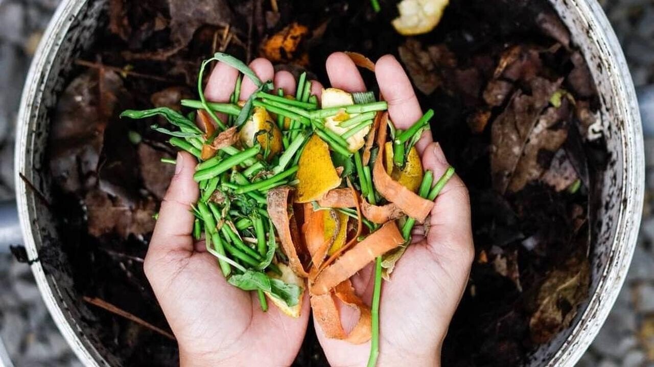Как сортировать и перерабатывать мусор на Бали