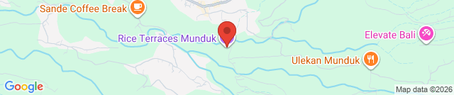 Рисовые террасы Munduk