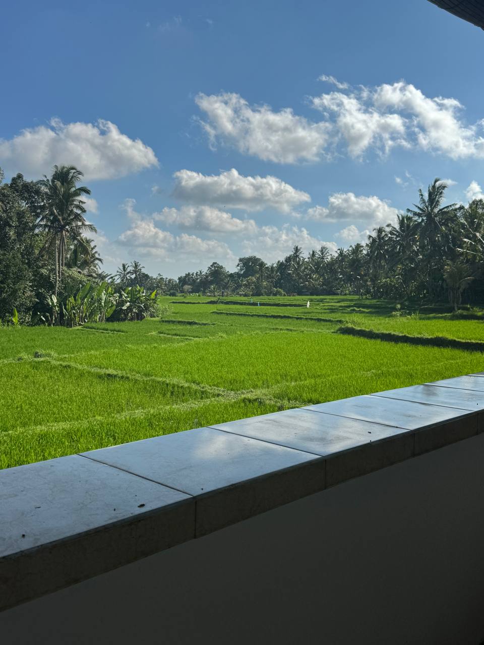 Вилла просторная Убуд 4 и более спален