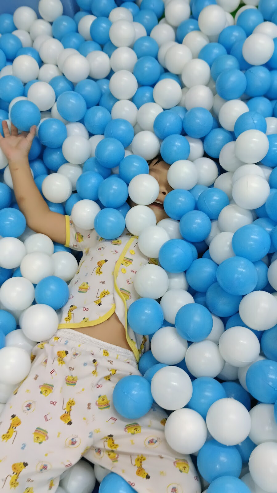 Fun Castle playground and Daycare