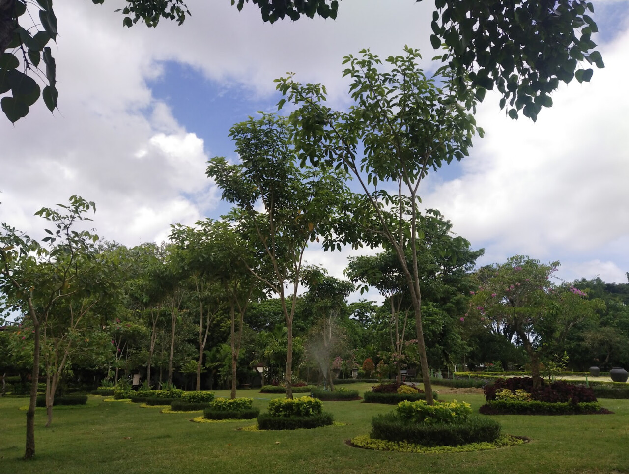 YOUTH PARK