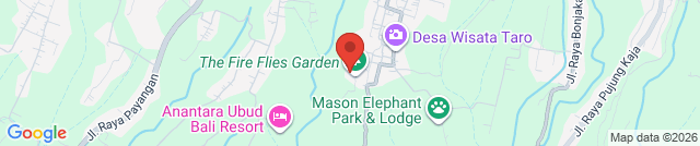 The Fire Flies Garden