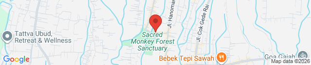 Social Monkeys Ubud