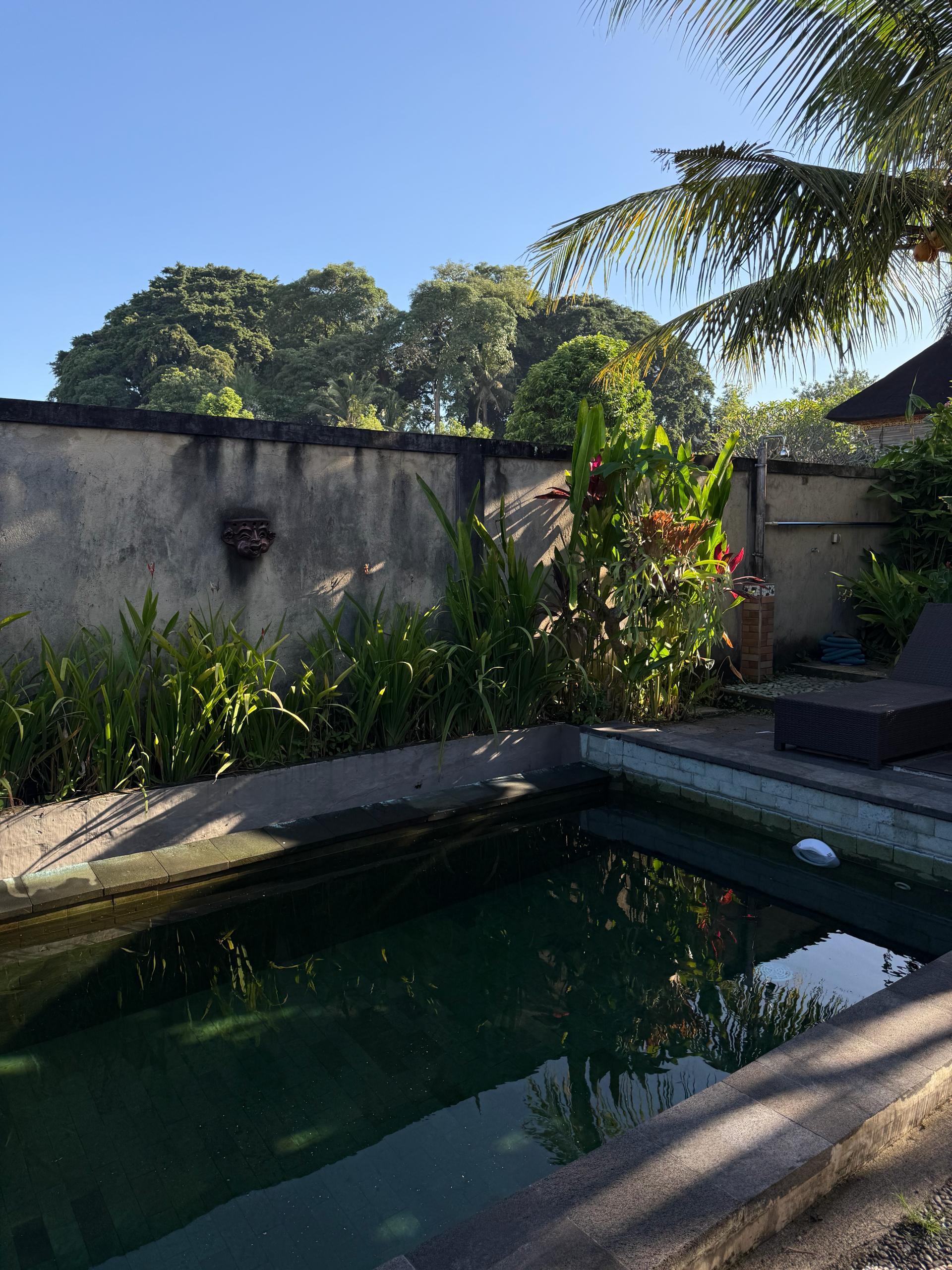 Вилла уютная Убуд 1 спальня