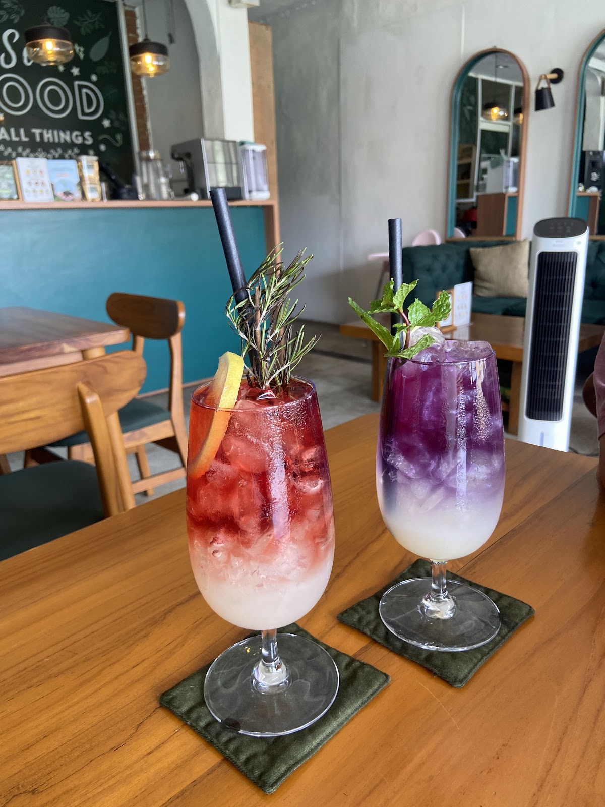 Sauce Tree Plant Based