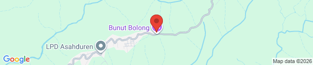 Bunut Bolong