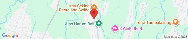 KODOK WARUNG