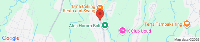 KODOK WARUNG