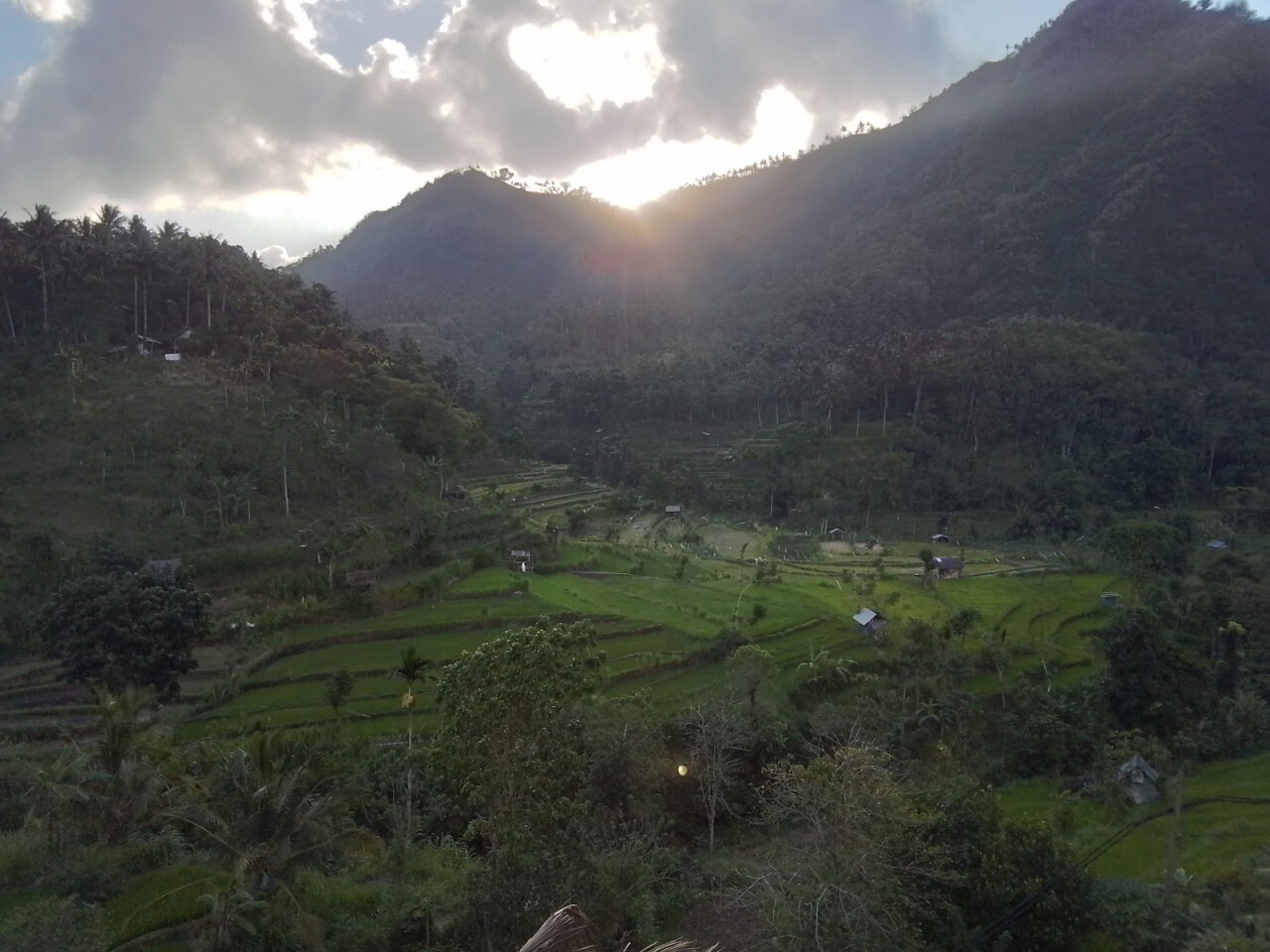 BERINA RICE TERRACE