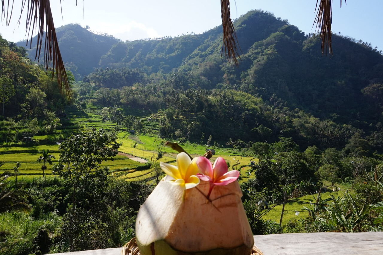 BERINA RICE TERRACE