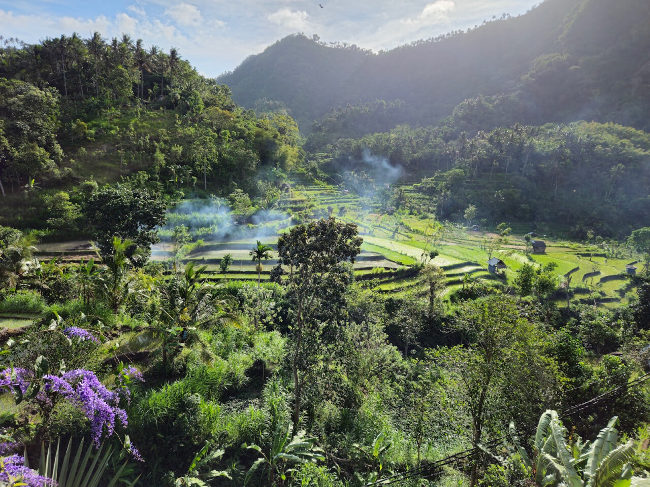 BERINA RICE TERRACE