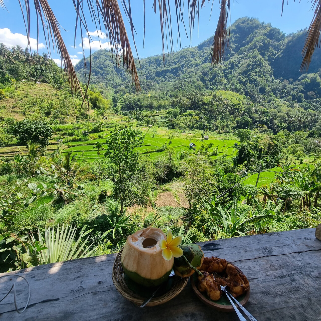 BERINA RICE TERRACE