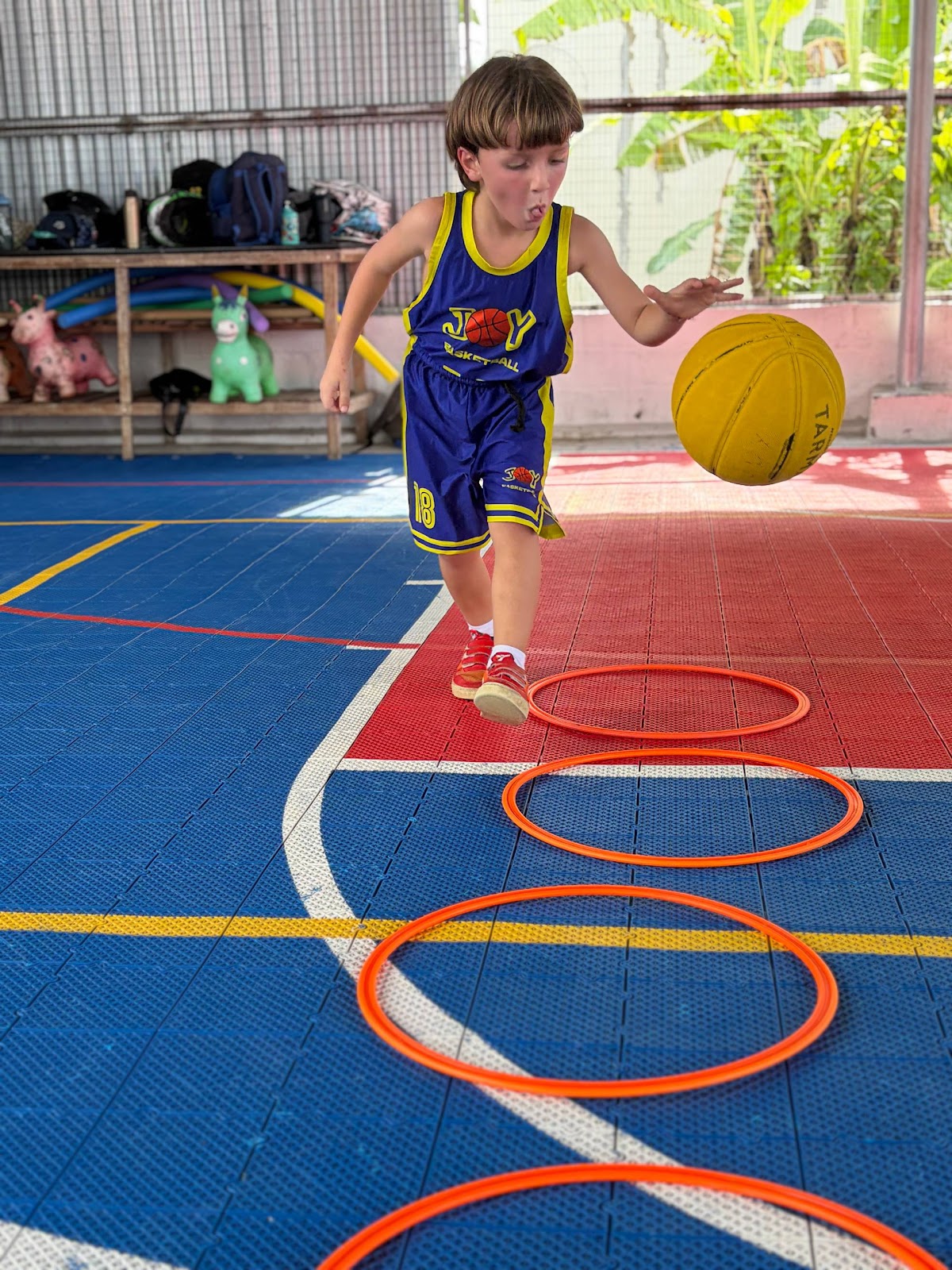 Joy Basketball