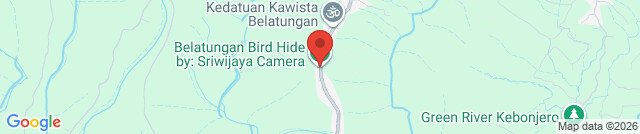 Belatungan Hide by Sriwijaya Camera