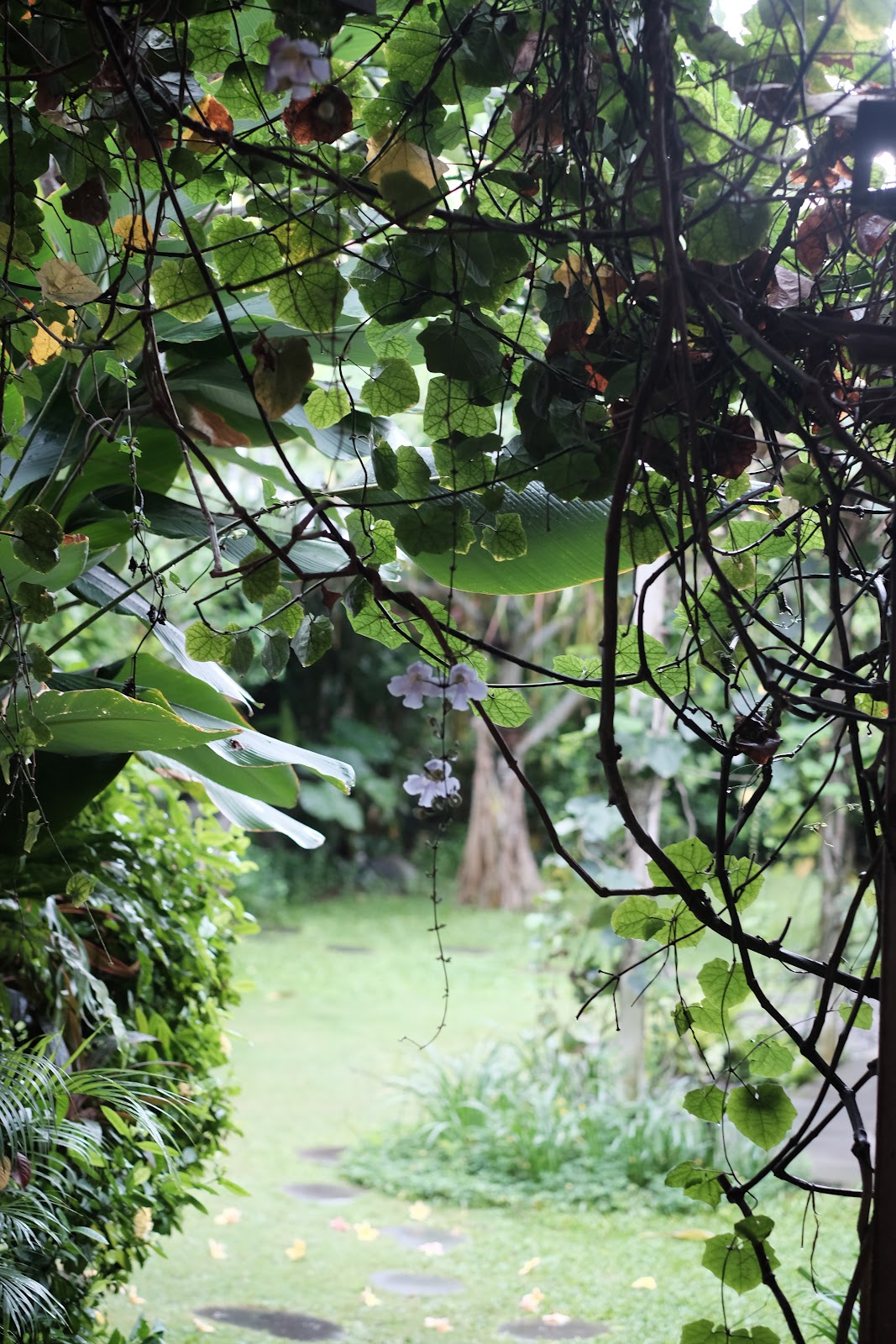 Bloom Neighbourhood Café Seminyak