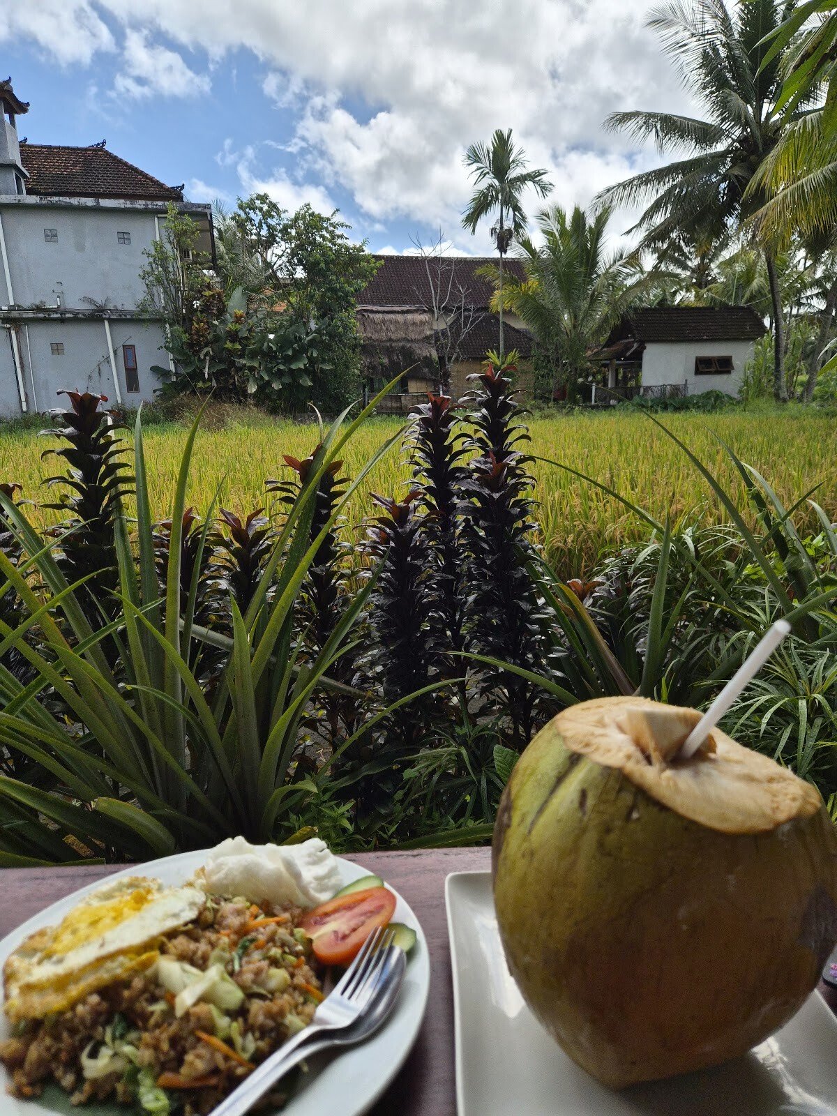 Molecha Organic Warung